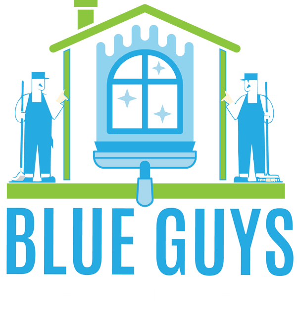 Blue Guys Services 